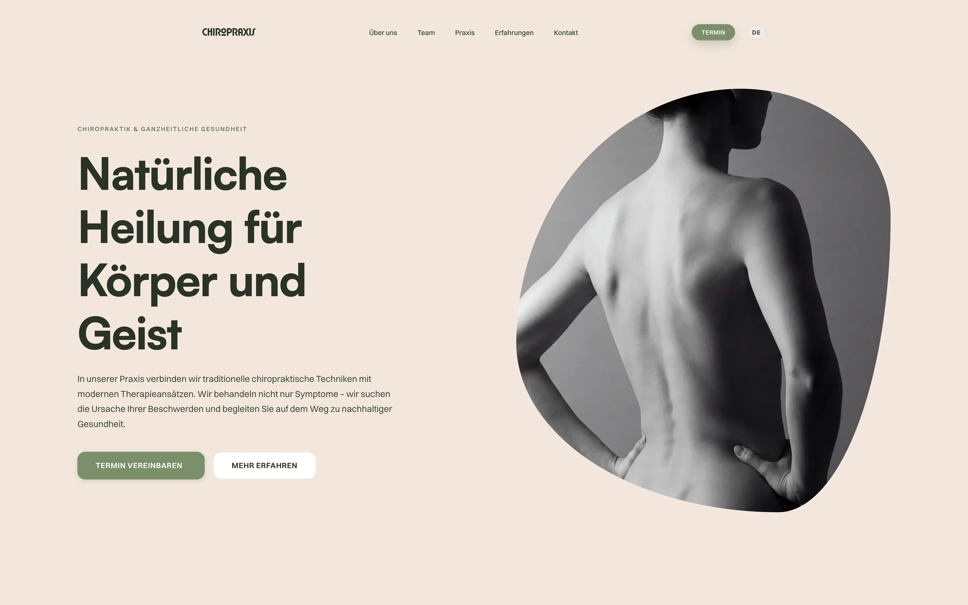 ChiroPraxis Screenshot 1